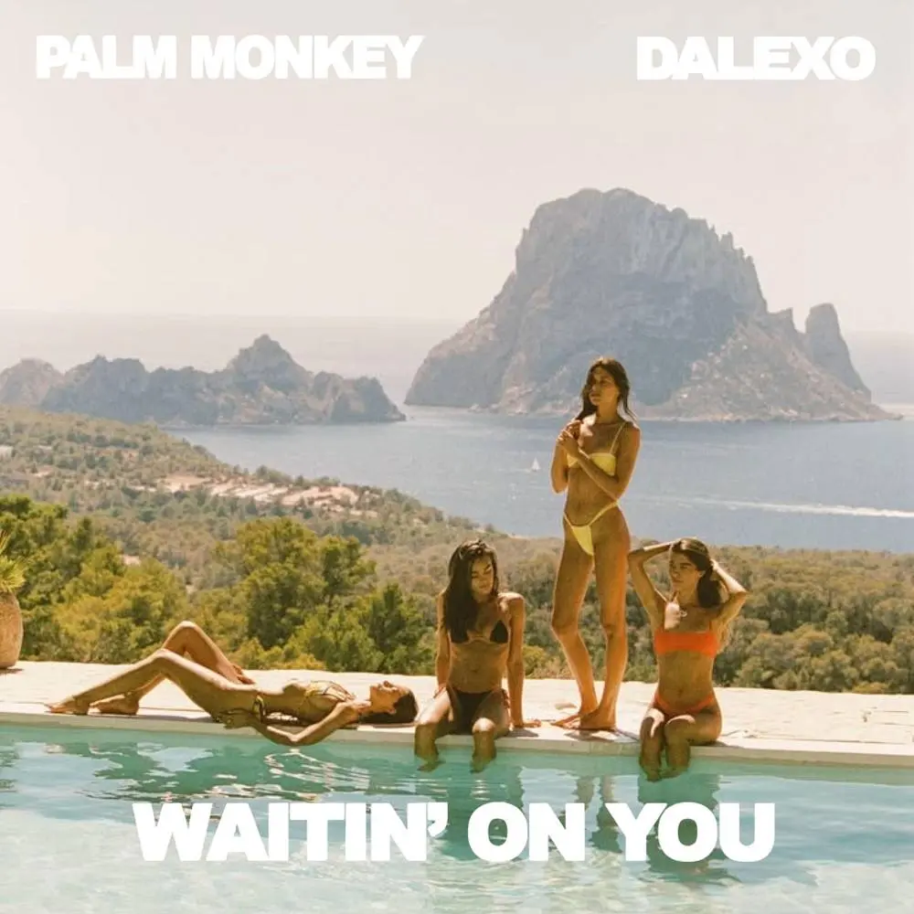 WAITIN' ON YOU - Palm Monkey & DALEXO