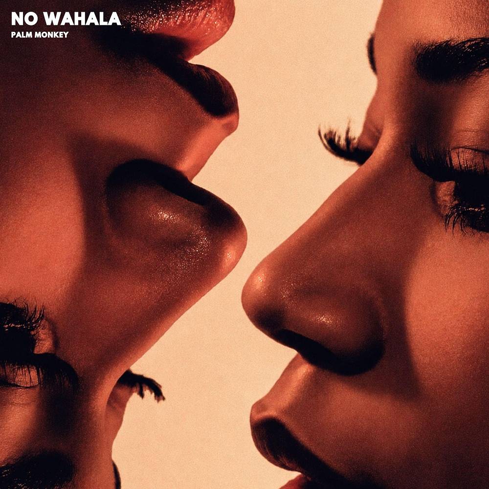 NO WAHALA - Palm Monkey