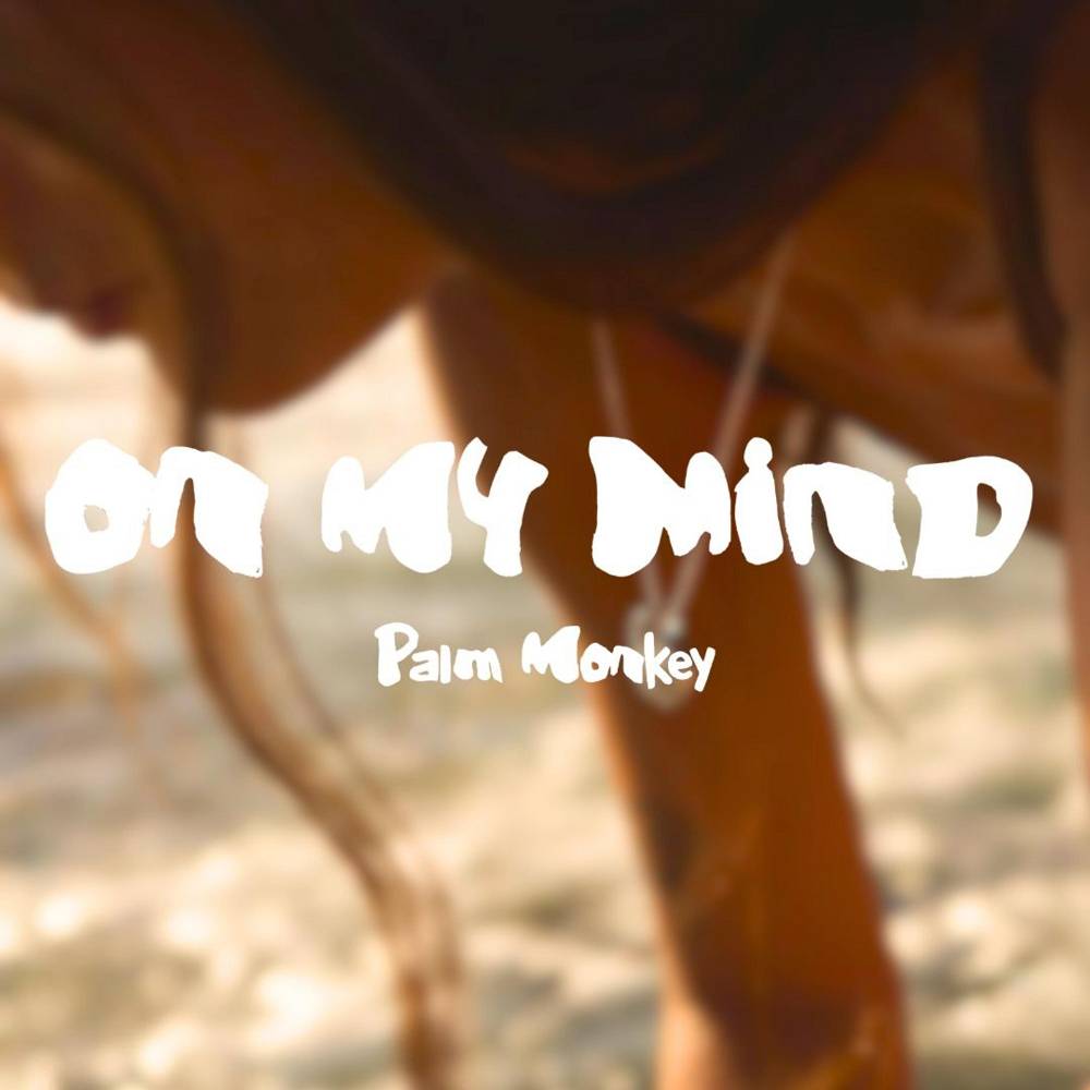 SOMEONE LIKE YOU - Palm Monkey