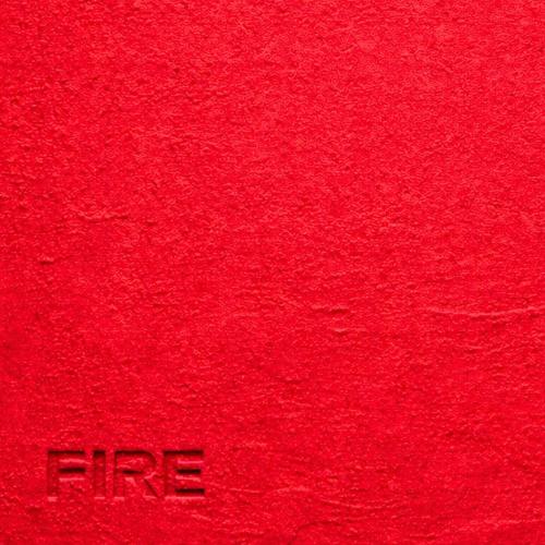 Palm Monkey & The Palm Tree Boy & Boix & Breakloop & VANDR - FIRE