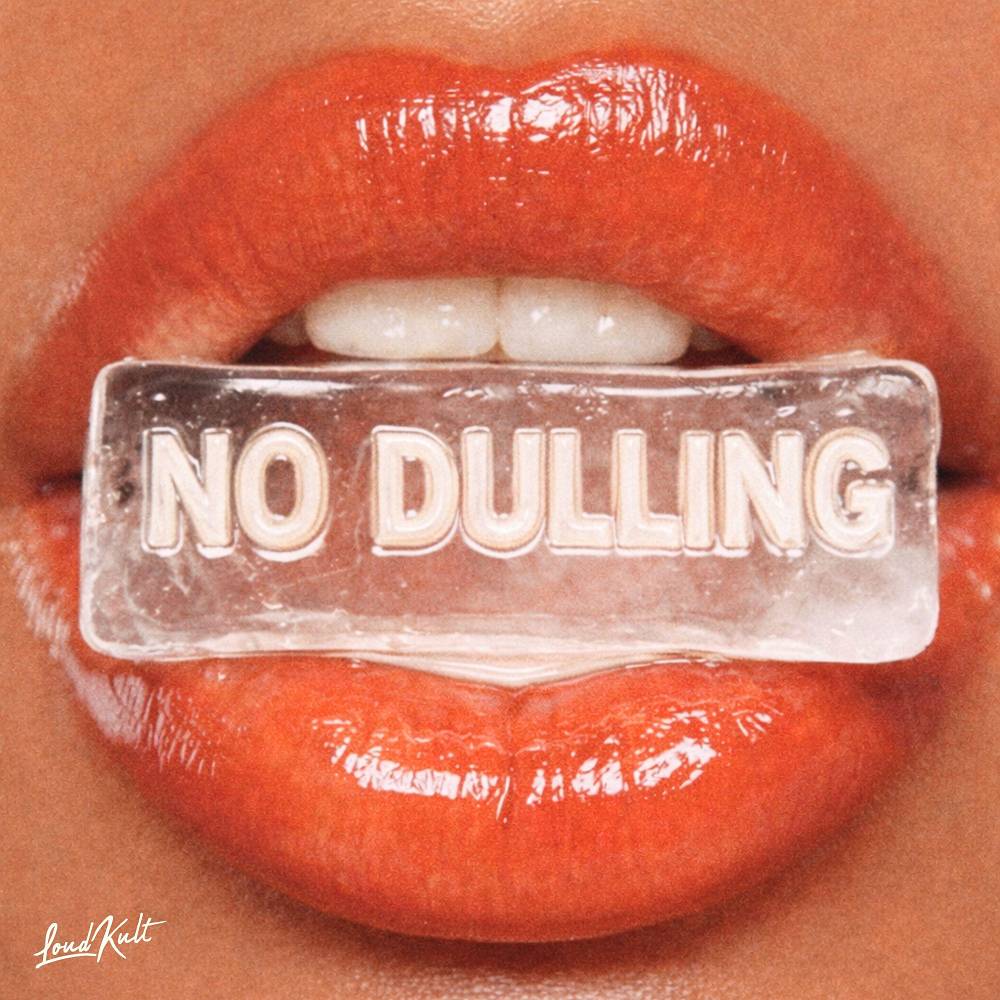Palm Monkey & The Palm Tree Boy & Simon Wiart & Palm Brothers - NO DULLING