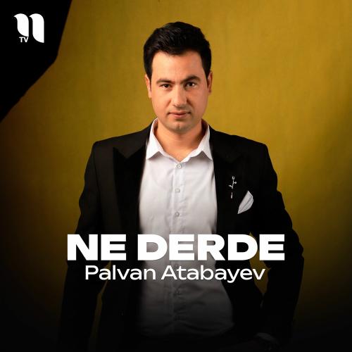 Ne Derde - Palvan Atabayev
