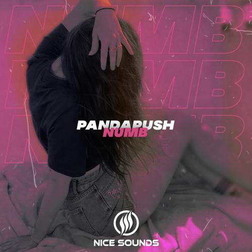 Numb - Pandapush