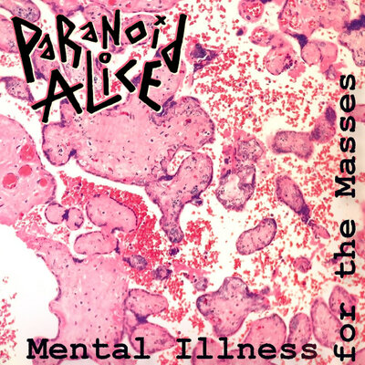 Last Years Video - PaRaNoid ALicE