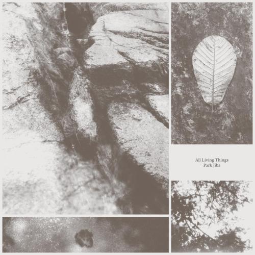 Park Jiha - Blown Leaves
