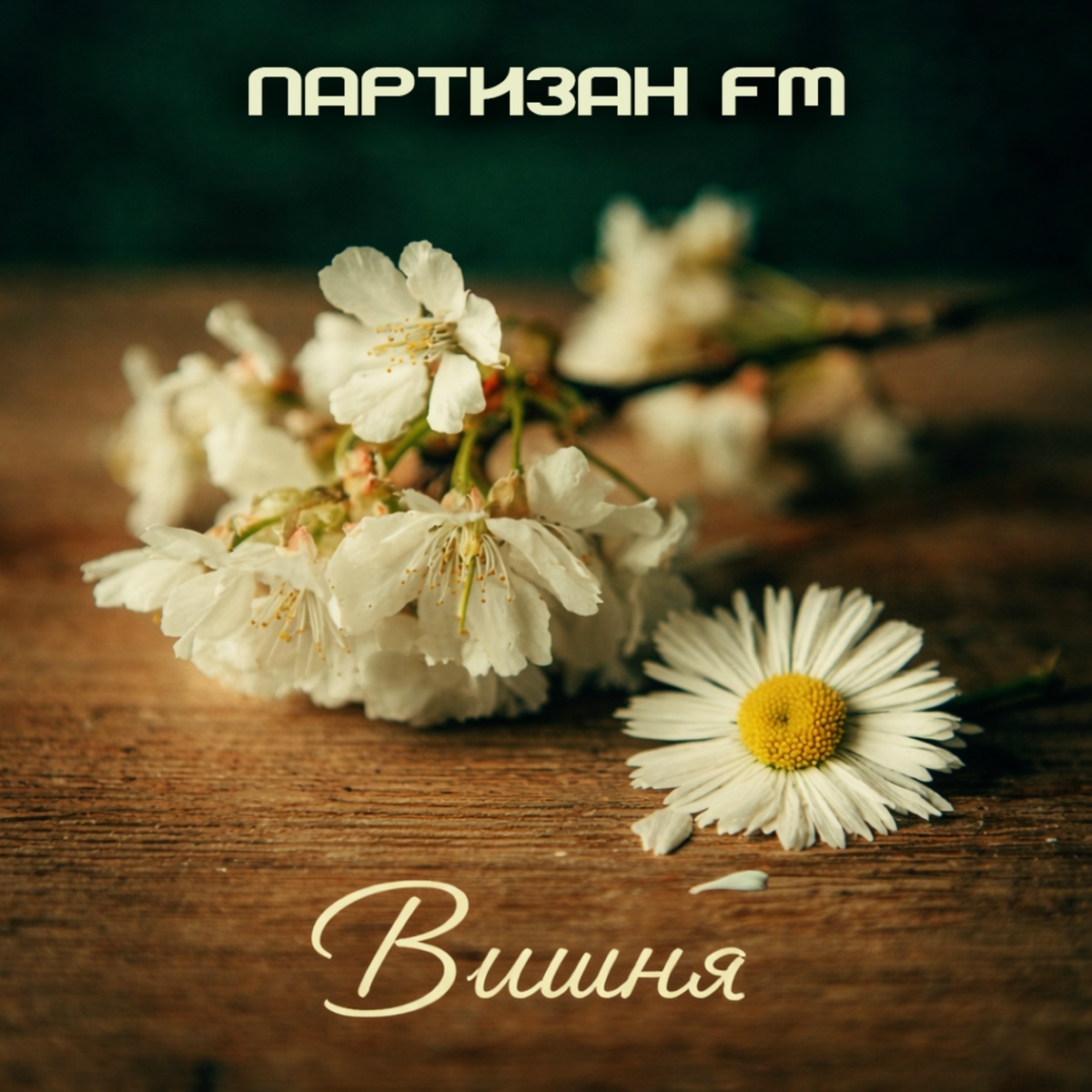 Вишня - Партизан FM