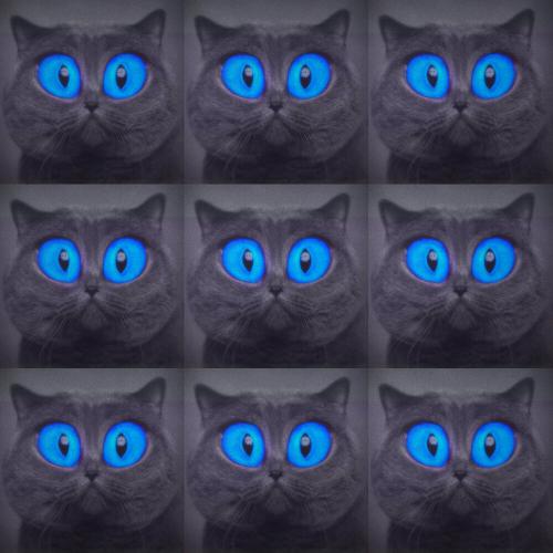 Хочу Быть Котом - Паша Proorok