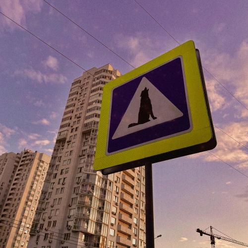 ПАТИКАП - Собачий вой