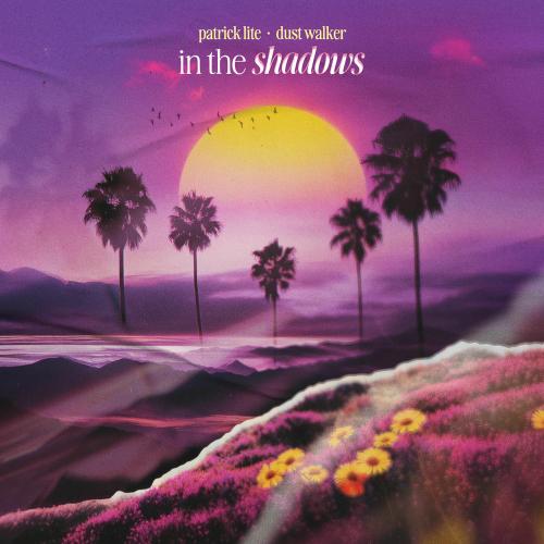 Patrick Lite & Dust Walker - In The Shadows