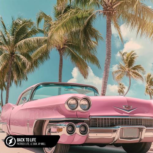 Patrick Lite, Le Bok & Ay-Mill - Back To Life