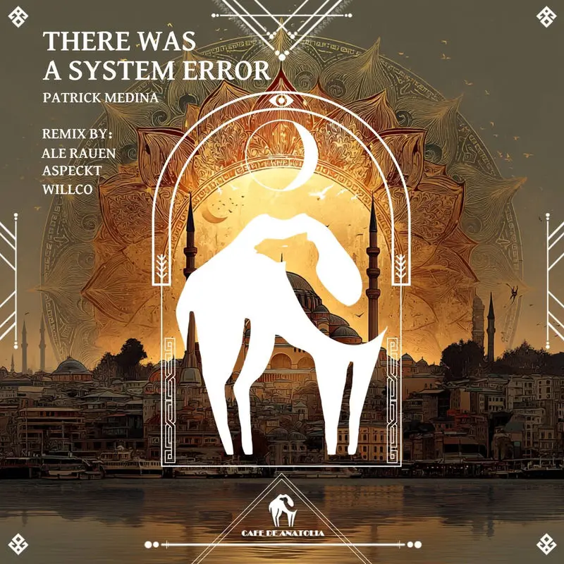 There Was A System Error (Willco Remix) - Patrick Medina, Cafe De Anatolia & Willco