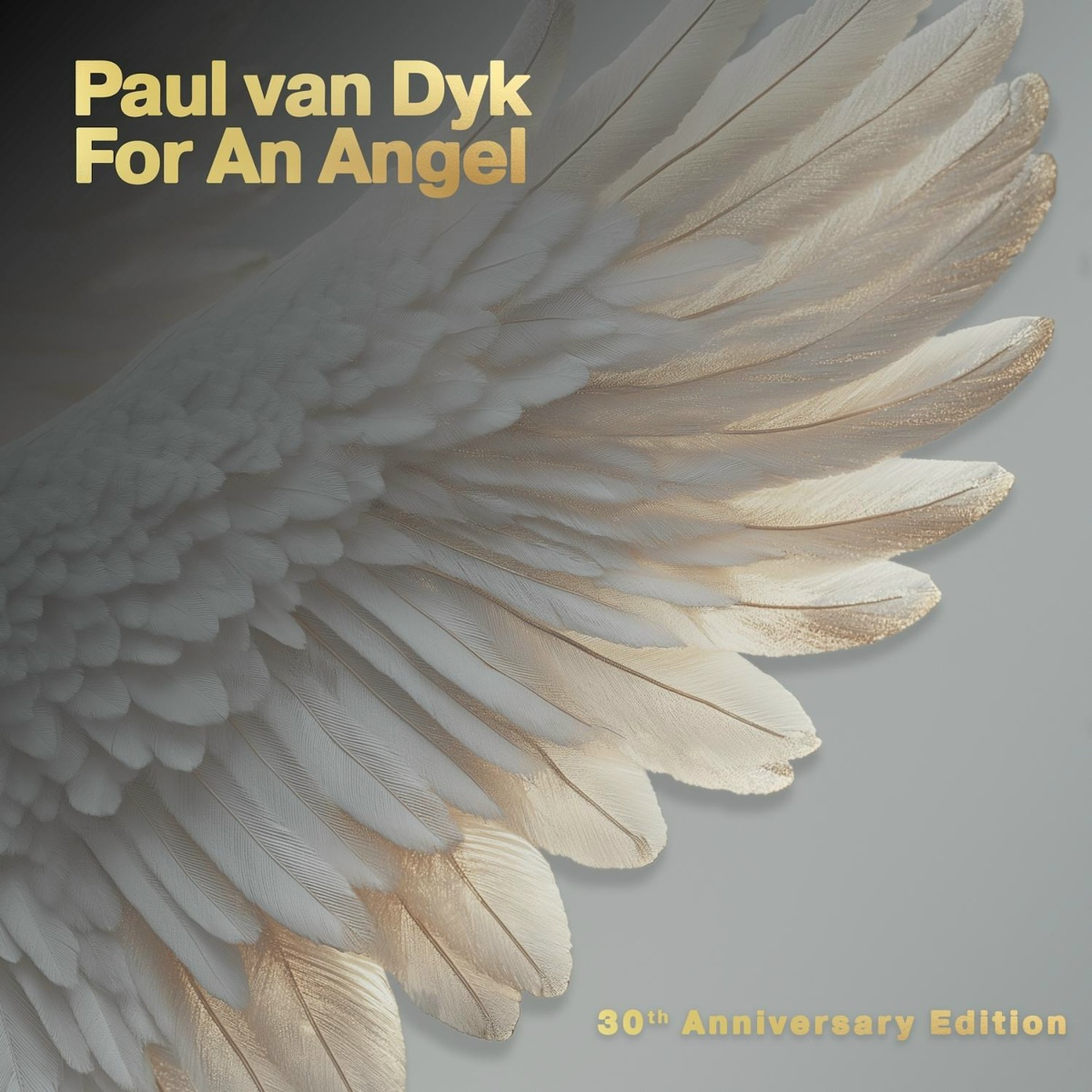 For An Angel (Öwnboss Remix Edit) - Paul van Dyk