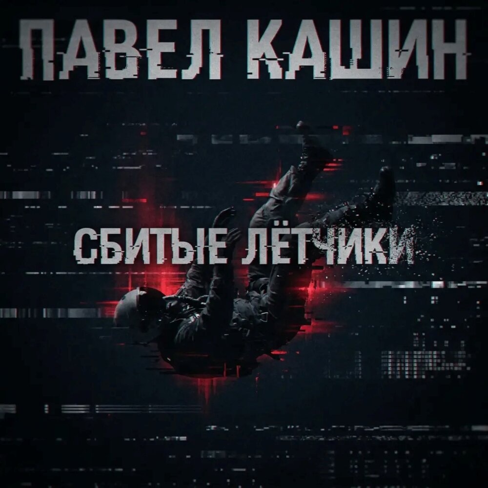 Павел Кашин - Сбитые лётчики