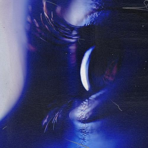 In the Dark - Pavelalt