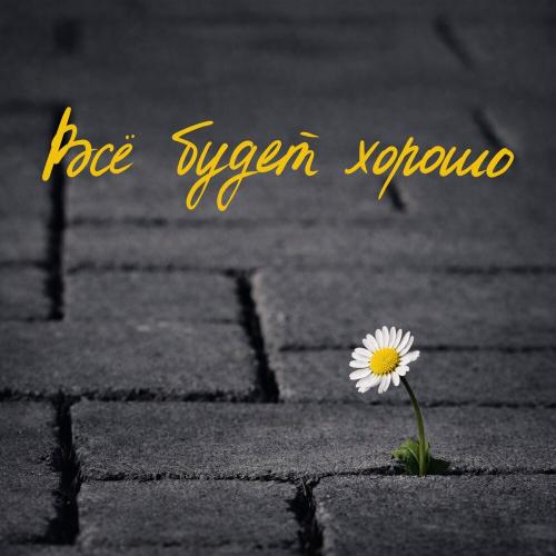 PavLova - всё будет хорошо