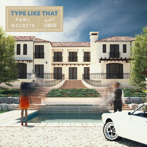Pawl & Discrete - Type Like That