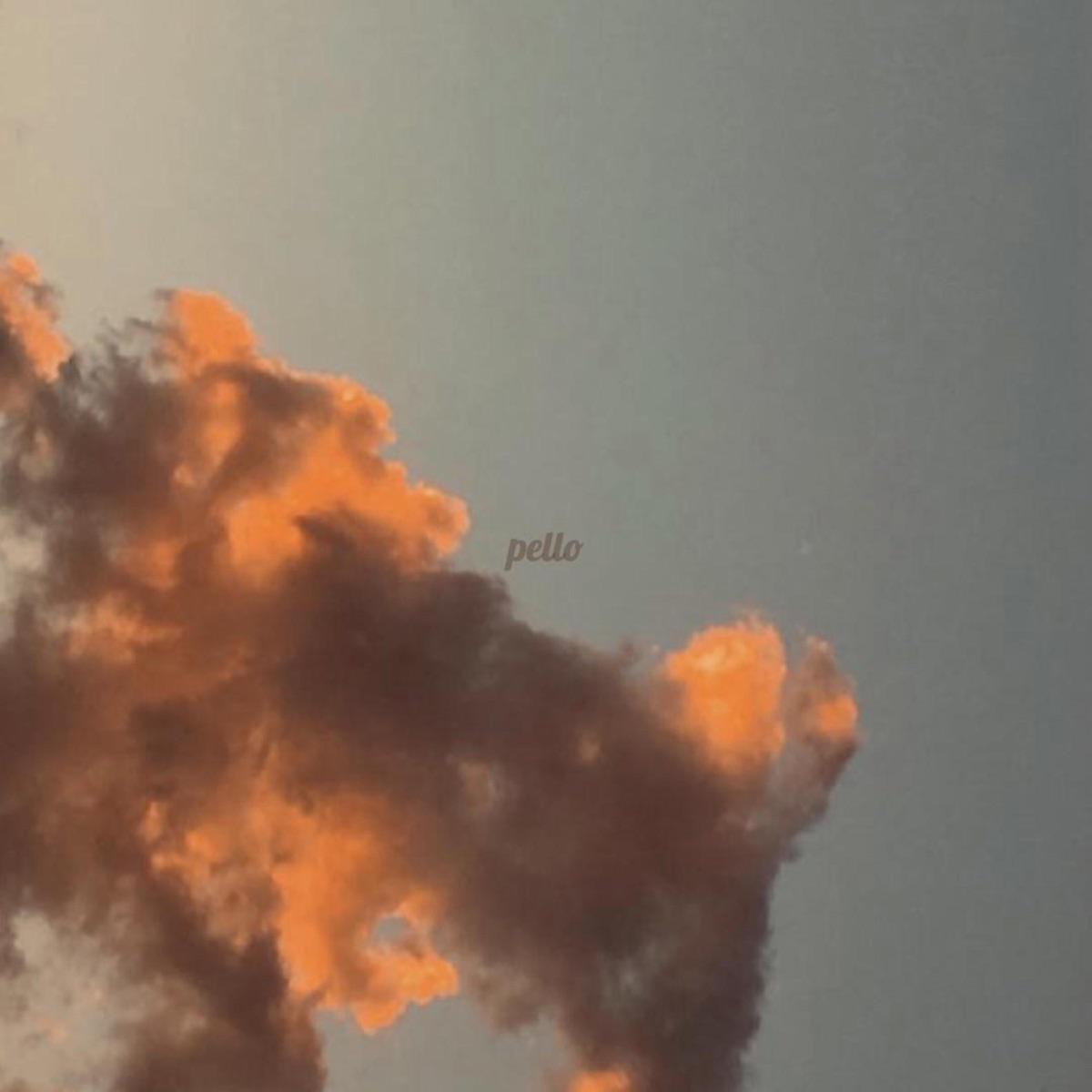 Petals (Spa) - pello
