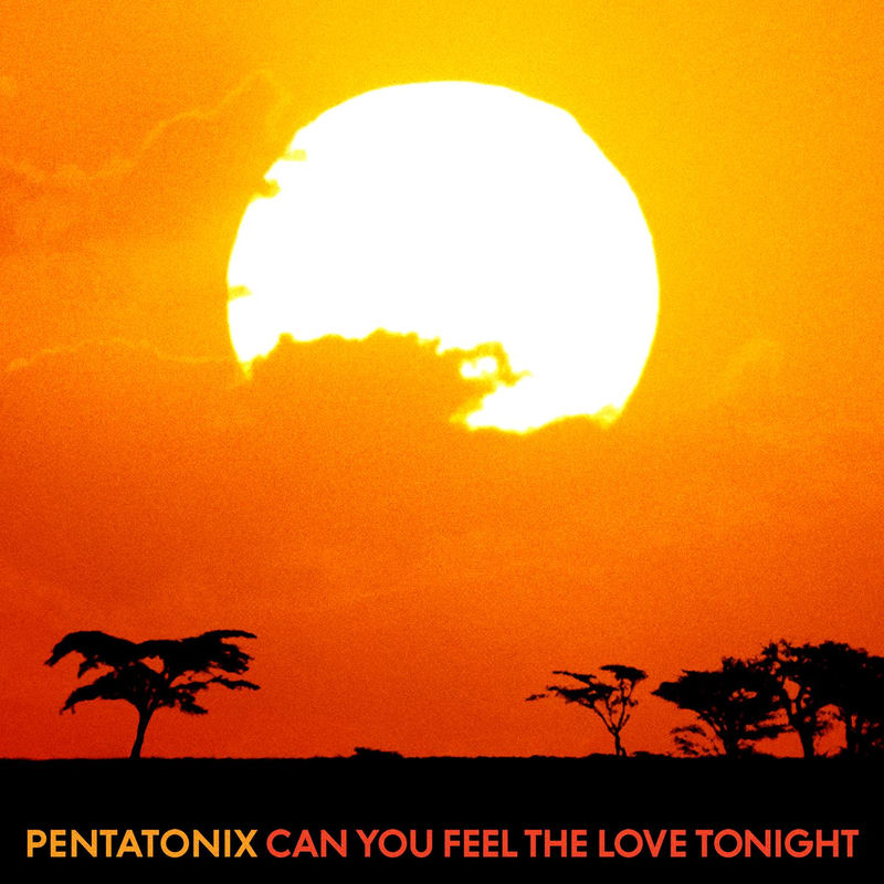 Can You Feel The Love Tonight - Pentatonix