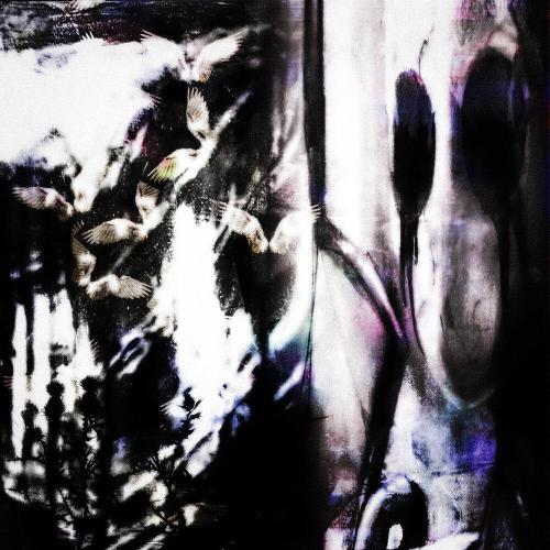 PERSONAL ANIMOSITY - April&May (prod. by ang3lcry)