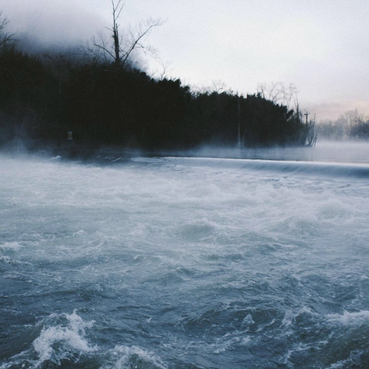 cry of happy - PERSONAL ANIMOSITY