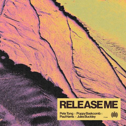 Pete Tong, Poppy Baskcomb & Paul Harris - Release Me (feat. Jules Buckley)