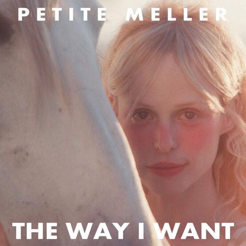 The Way I Want - Petite Meller