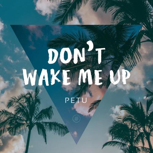 Don´t Wake Me Up (Club Mix) - Pétu