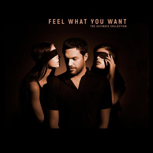 Phonique, Rebecca - Feel What You Want (Fairplay Remix)