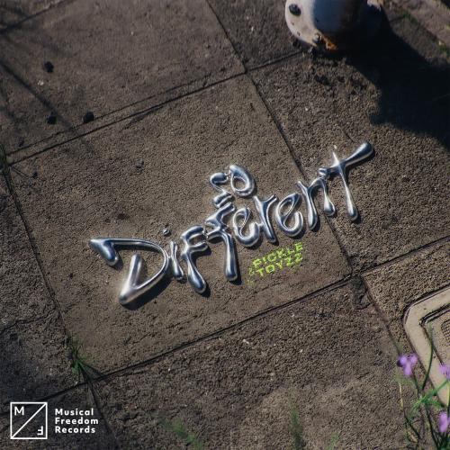 Pickle & TOYZZ - So Different