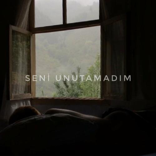 Seni Unutamadım - Piiz