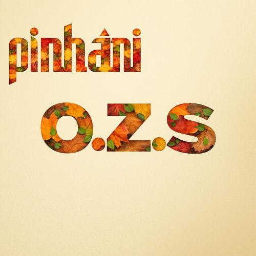 Pinhani - O Zaman Da Sonbahardı