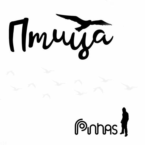 Pinhas - Птица