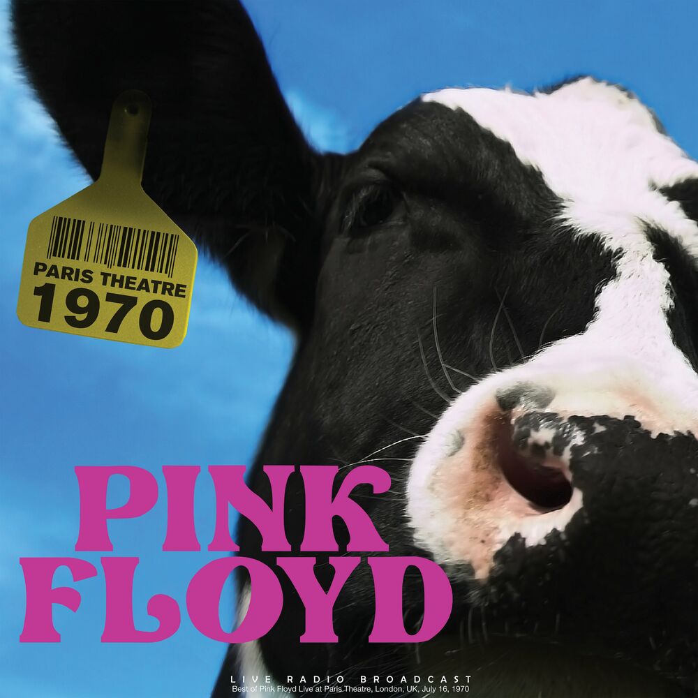 If (Live) - Pink Floyd
