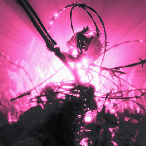 PINKNOISE - Flesh And Bone