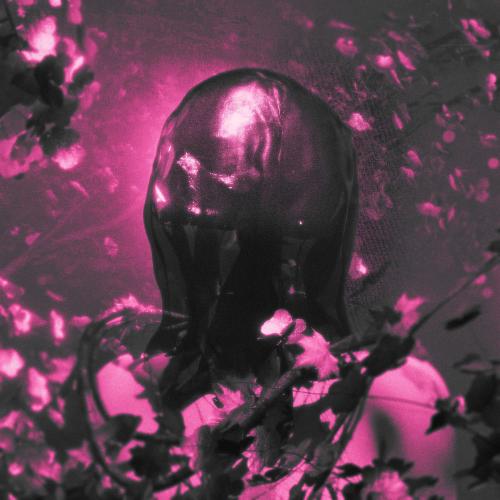 PINKNOISE - Talk Talk