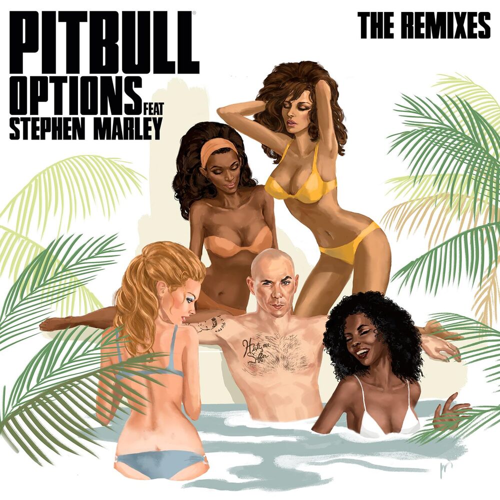Options (Feat. Stephen Marley) (Chuckie Remix) - Pitbull feat. Stephen Marley & Chuckie