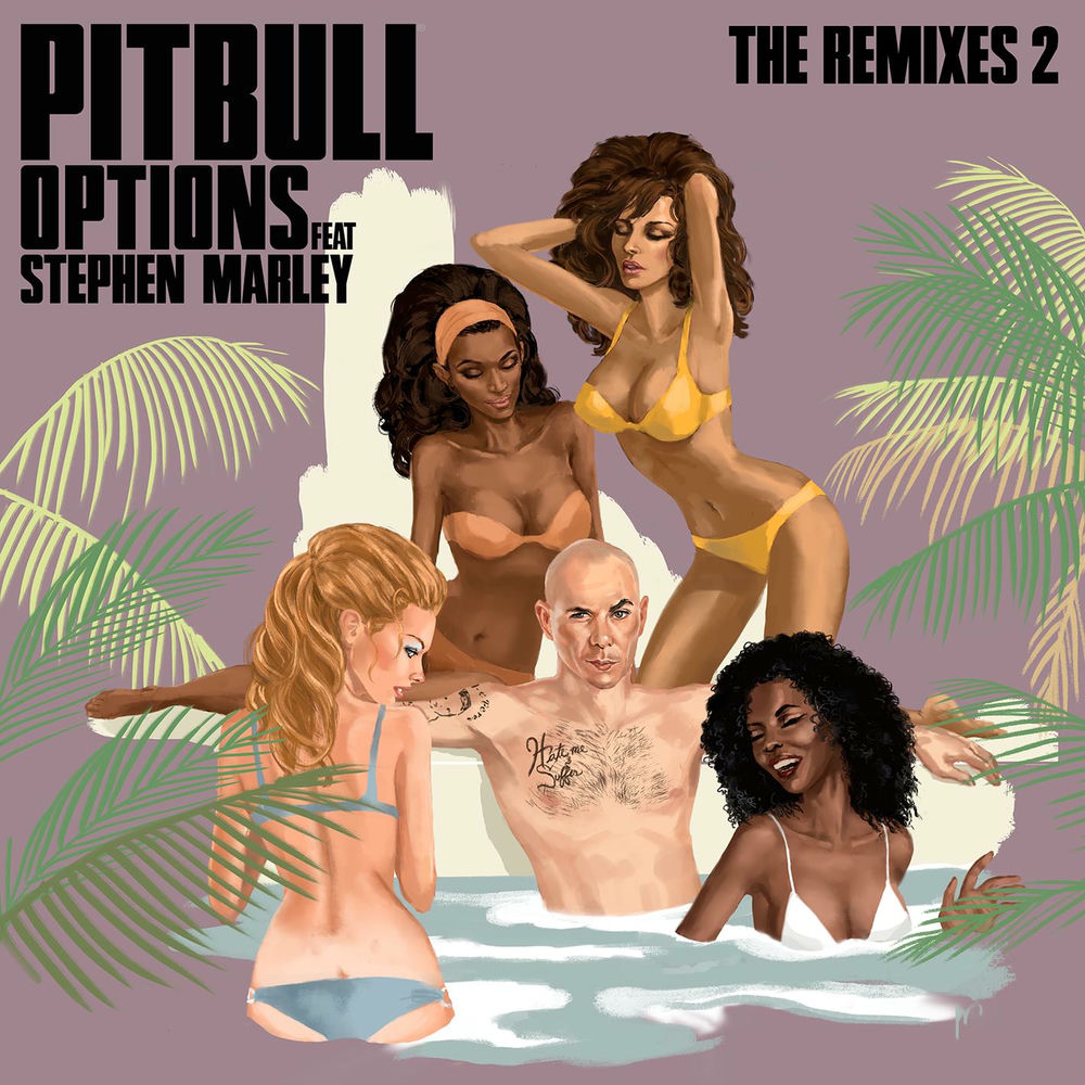 Options (Feat. Stephen Marley) (Damaged Goods Remix) - Pitbull feat. Stephen Marley & Damaged Goods