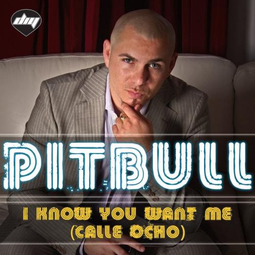 Pitbull - I Know You Want Me (Calle Ocho)