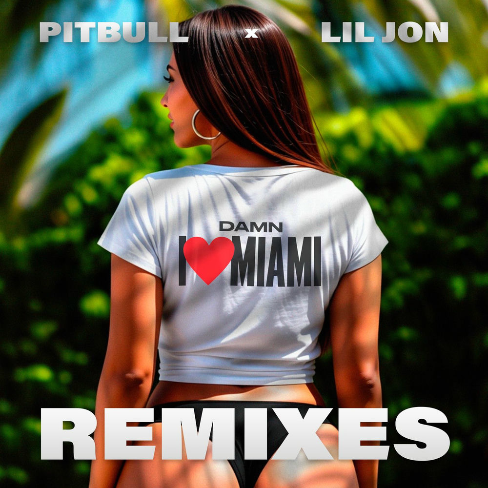 Damn I Love Miami (Dj Laz Remix) (Feat. Dj Laz, Dj Julian & Danny D) - Pitbull & Lil Jon feat. DJ Laz, DJ Julian & Danny D