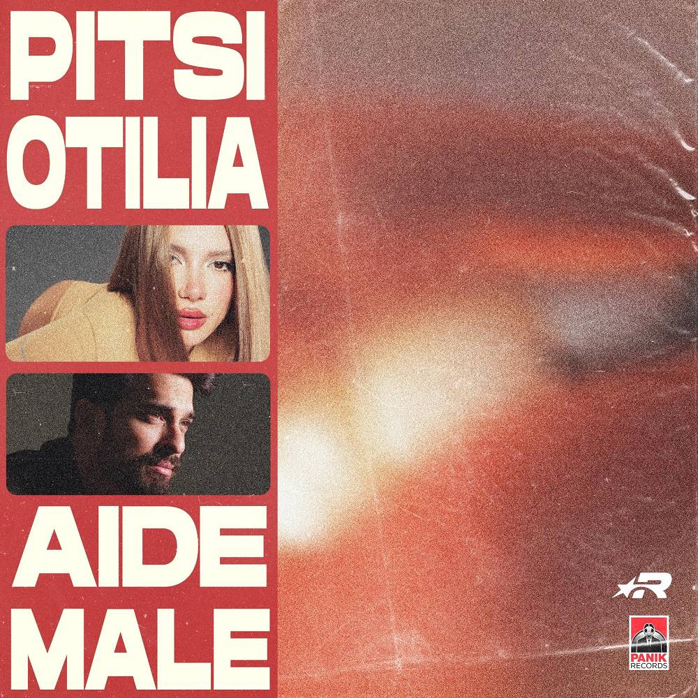 Aide Male - PITSI & Otilia