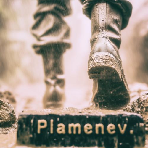 Plamenev - Мы идём в тишине.․․ (Cover)