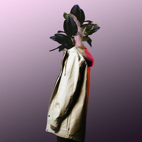 PLUM - Flower