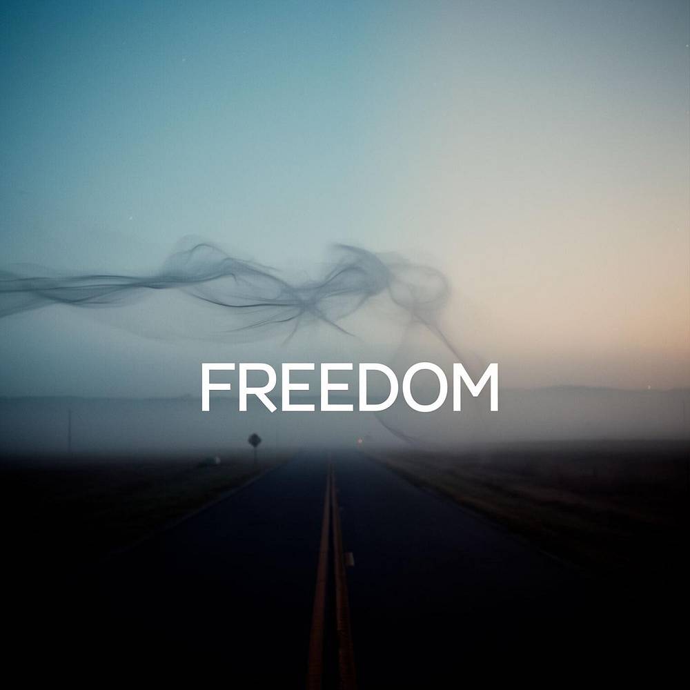 PLVTINA - Freedom