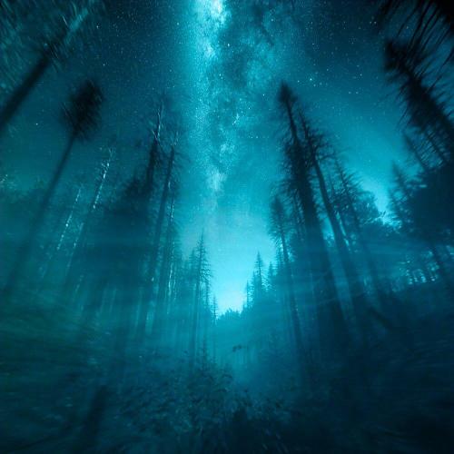 PLXYADEVTH - Perfect