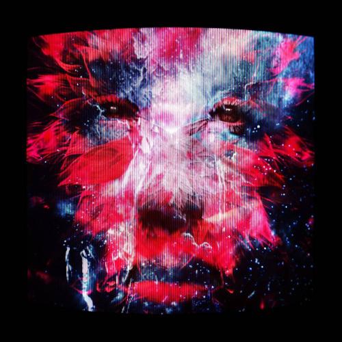 PNAU & MEDUZA - Rollin
