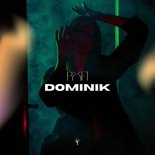 Dominik - Pofi