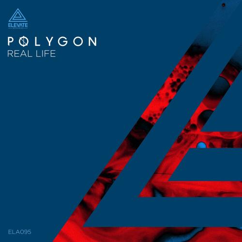 Real Life - Polygon