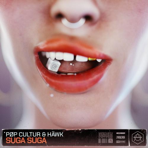 Suga Suga - PØP CULTUR & Hawk
