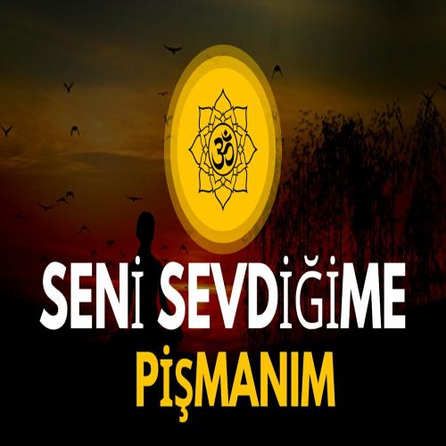 PoyuMüzik - Seni Sevdiğime Pişmanım