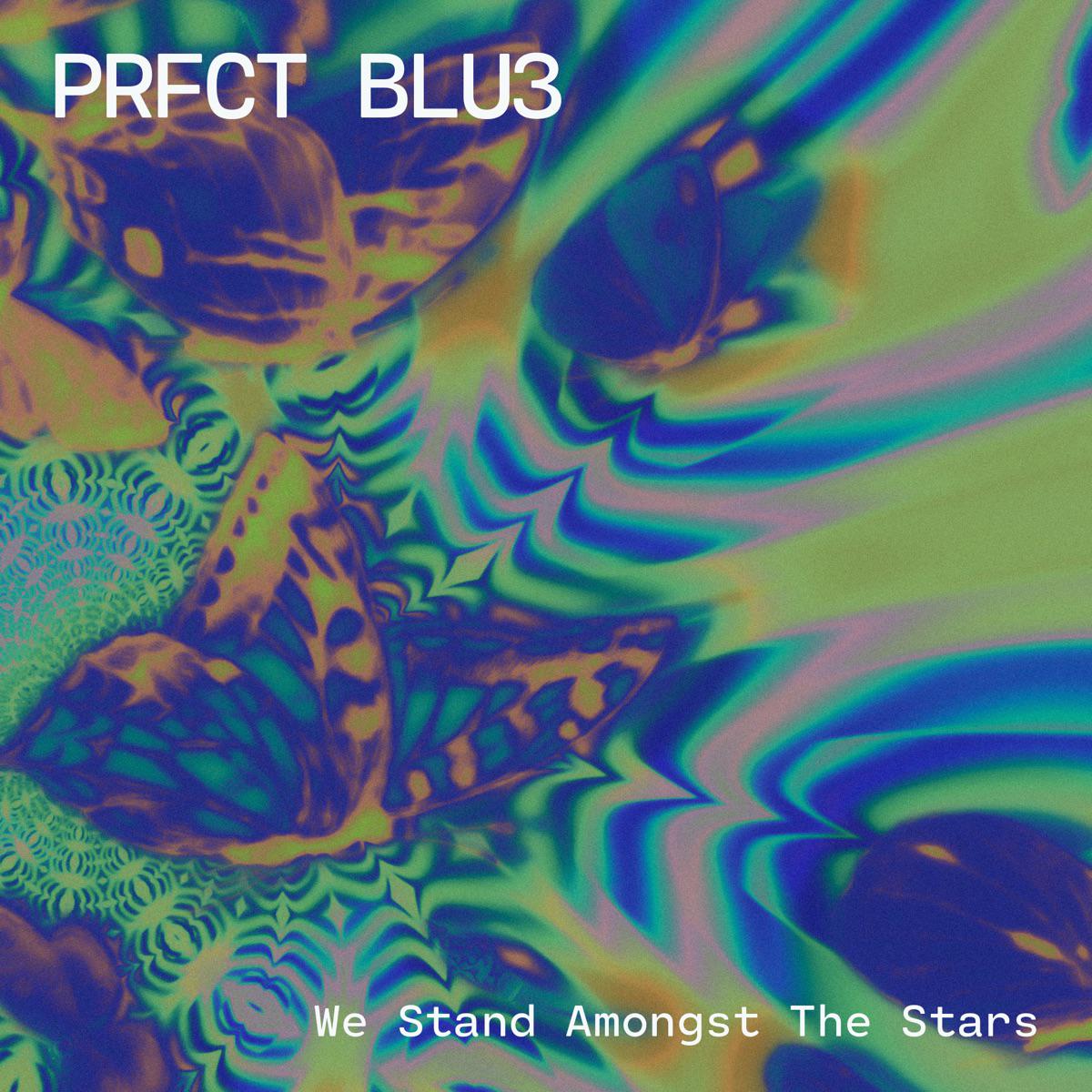 We Stand Amongst the Stars - PRFCT BLU3